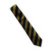Amherst School Tie